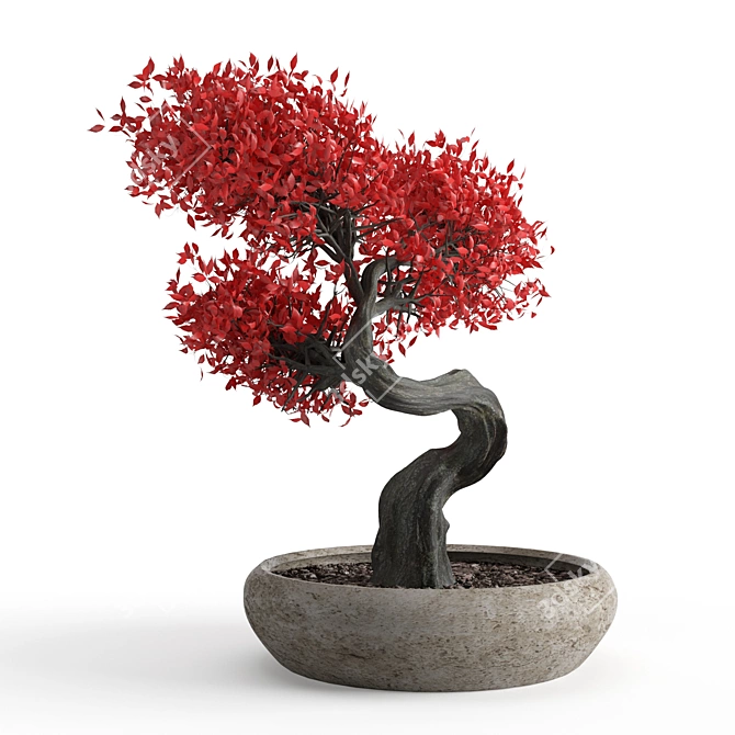 Crimson Beauty: Stunning Red Bonsai 3D model image 2