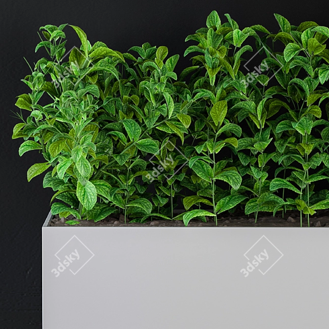 Botanical Wall Decor Set 3D model image 2