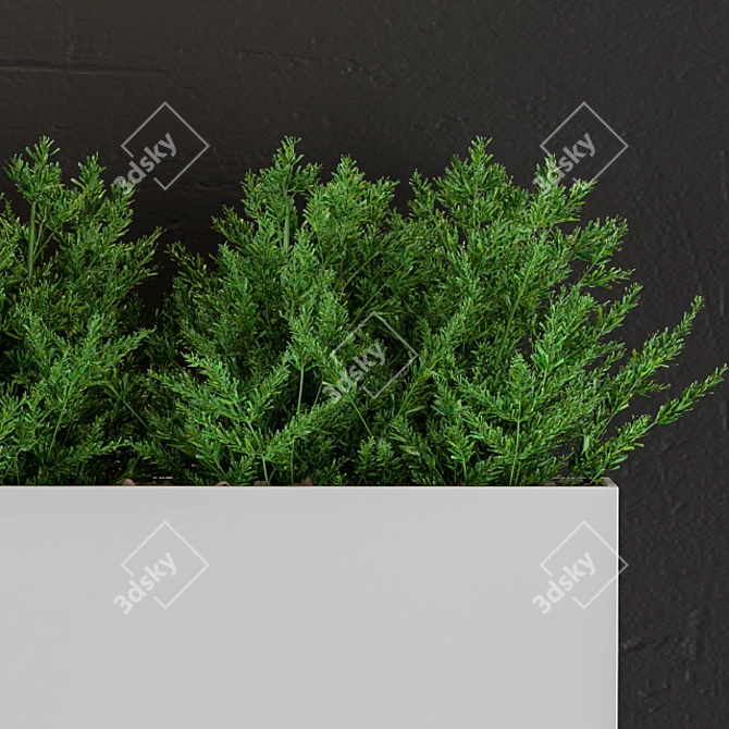 Botanical Wall Decor Set 3D model image 3