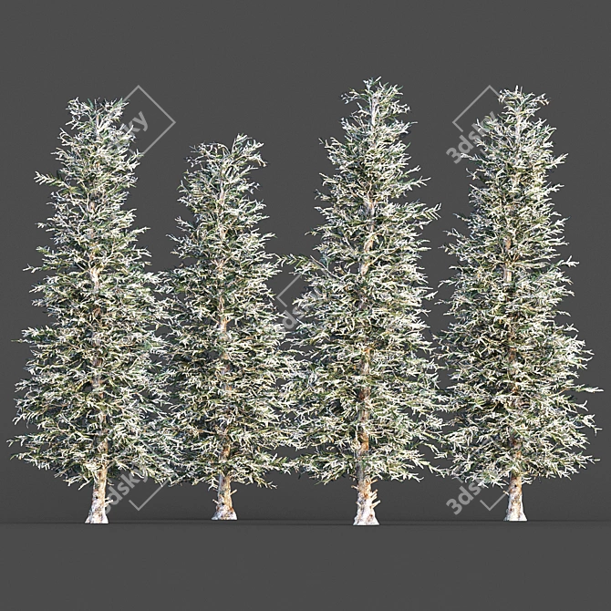 Cozy Blue Spruce Winter Tree 3D model image 1