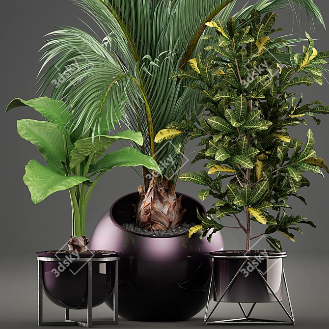 Exotic Plant Collection 3D model image 2