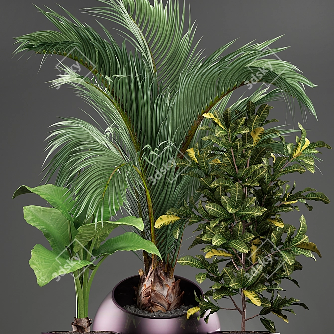 Exotic Plant Collection 3D model image 4