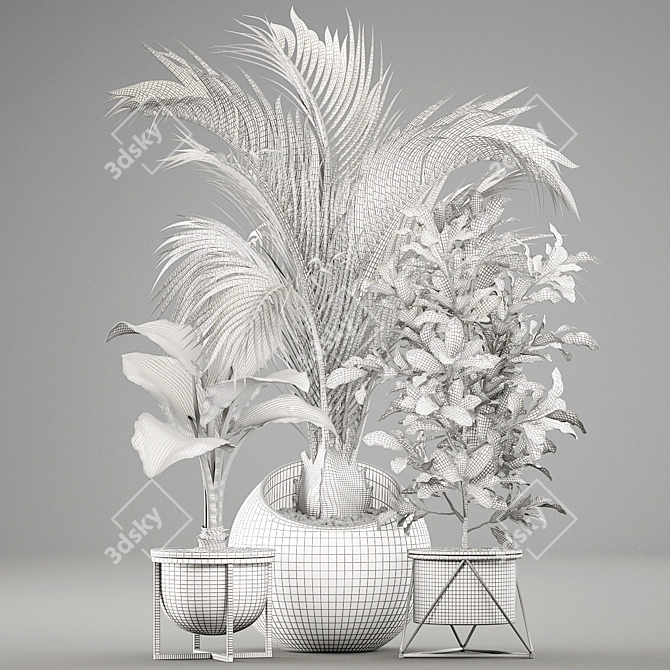 Exotic Plant Collection 3D model image 5