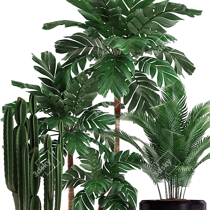 Exotic Indoor Plant Collection 3D model image 3