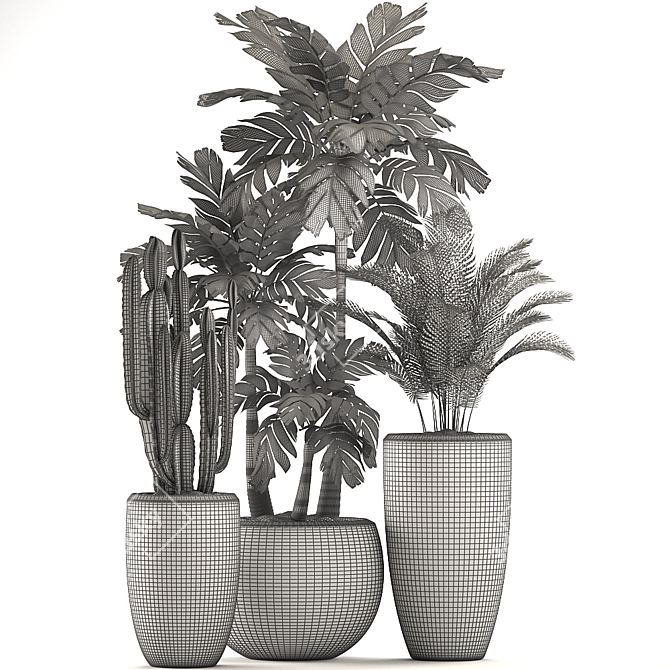 Exotic Indoor Plant Collection 3D model image 5