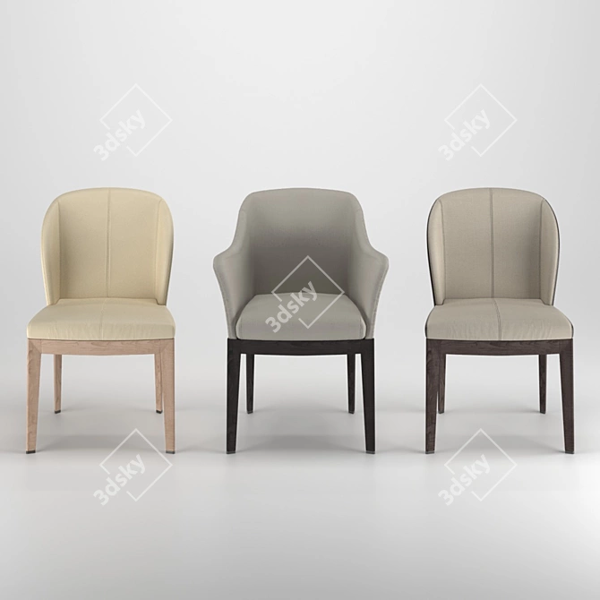 Giorgetti Normal Chairs 3D model image 6