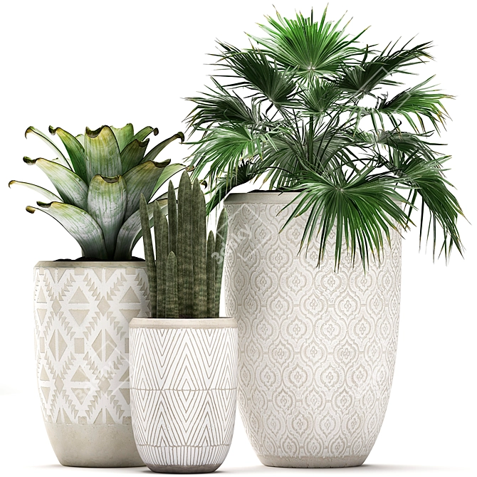 Exotic Plant Collection - Scandinavian Style 3D model image 1