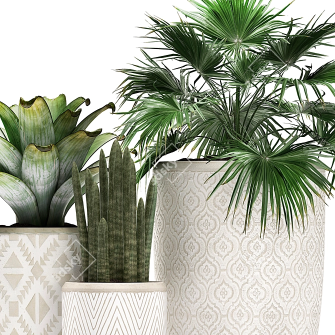 Exotic Plant Collection - Scandinavian Style 3D model image 4