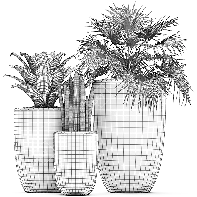 Exotic Plant Collection - Scandinavian Style 3D model image 5