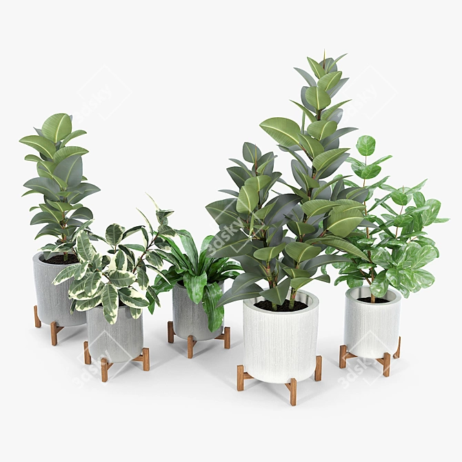 Bungalow Planter Set: Versatile and Stylish 3D model image 4