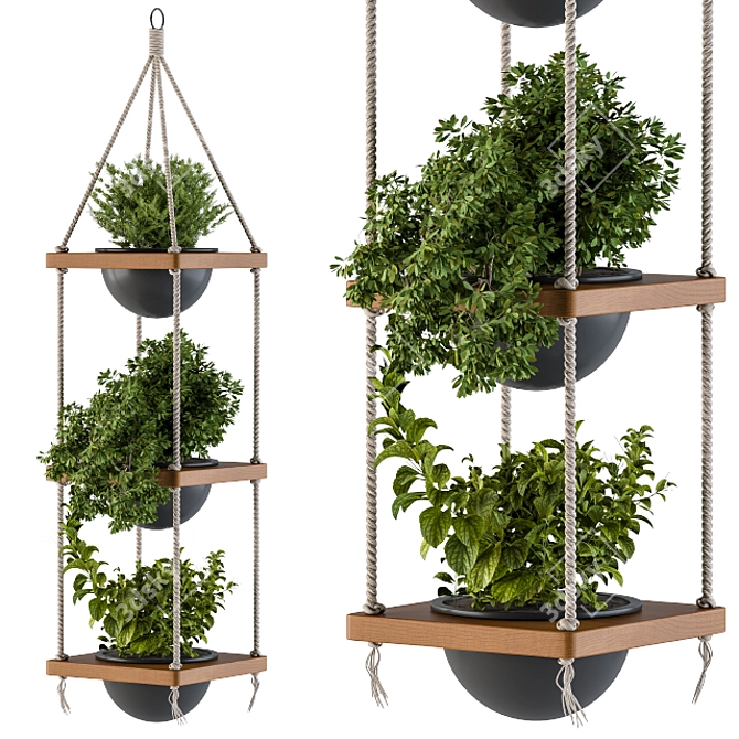 Boho Chic Hanging Planters 3D model image 1