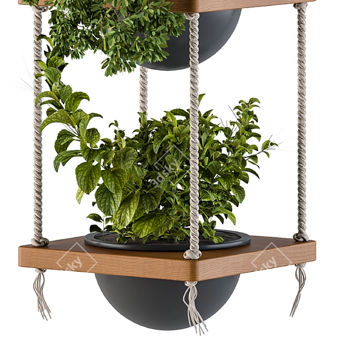 Boho Chic Hanging Planters 3D model image 3