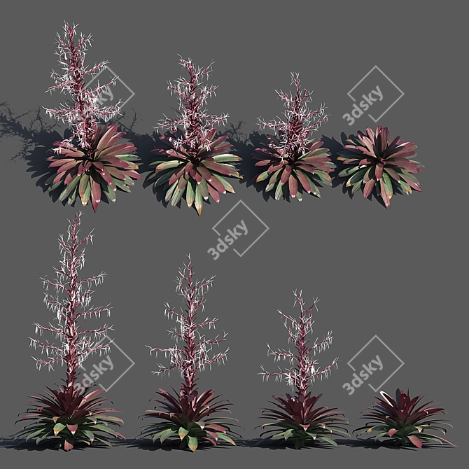 Vibrant Red Alcantarea Rubra 3D model image 1