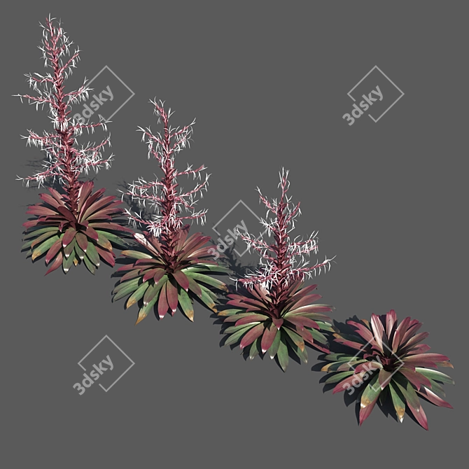 Vibrant Red Alcantarea Rubra 3D model image 2