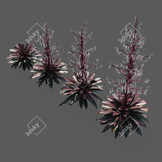 Vibrant Red Alcantarea Rubra 3D model image 3