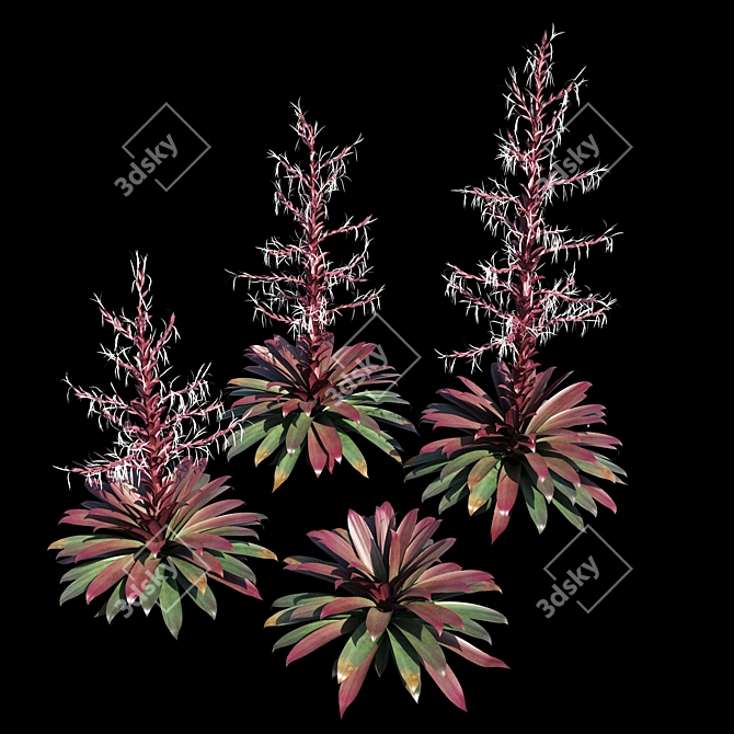 Vibrant Red Alcantarea Rubra 3D model image 4