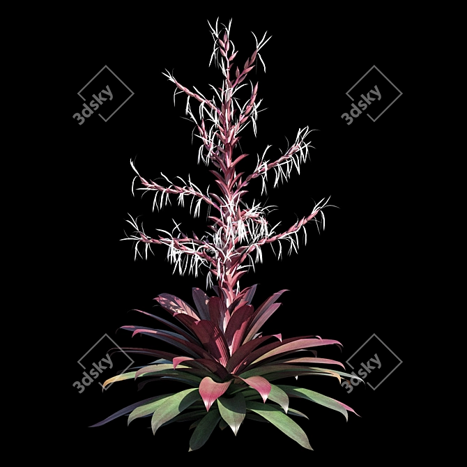 Vibrant Red Alcantarea Rubra 3D model image 5