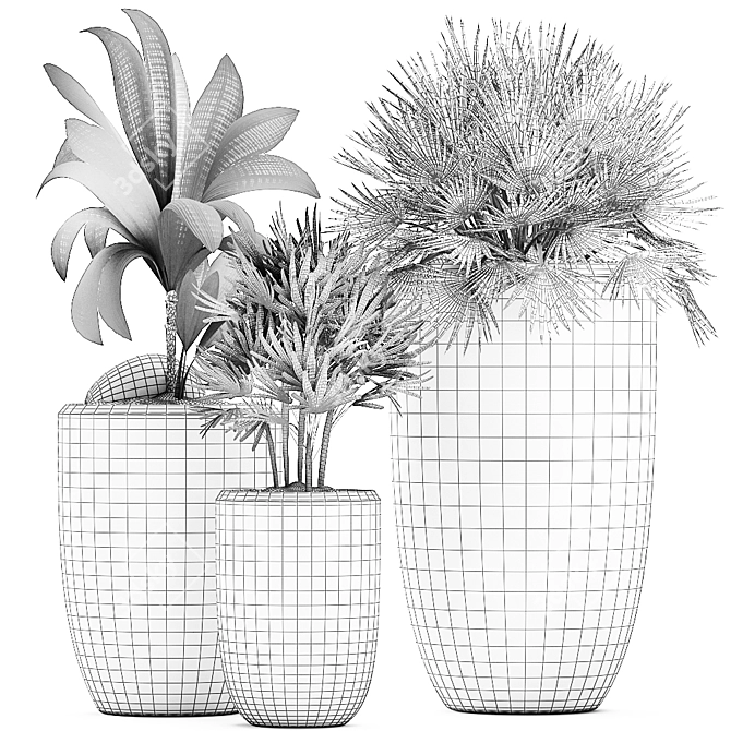 Exotic Indoor Plant Collection 3D model image 5