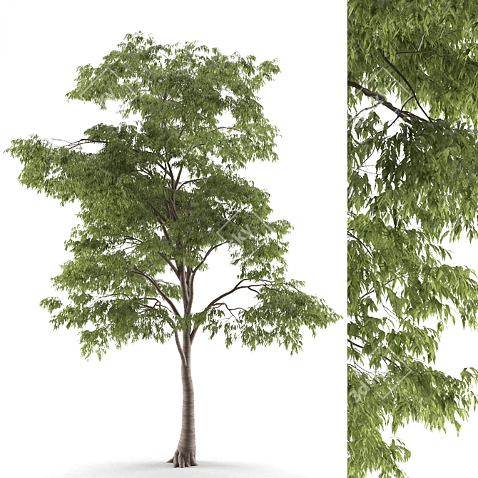 Polys 2 949 715 3D Tree 3D model image 1