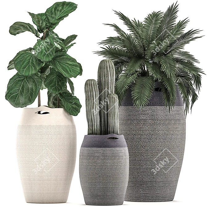 Tropical Plant Collection in Fabric Baskets 3D model image 1