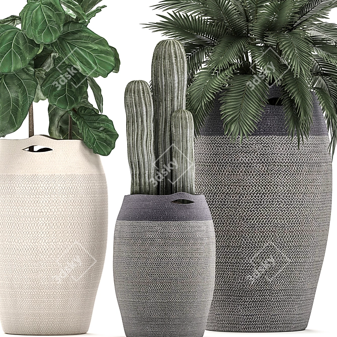 Tropical Plant Collection in Fabric Baskets 3D model image 2