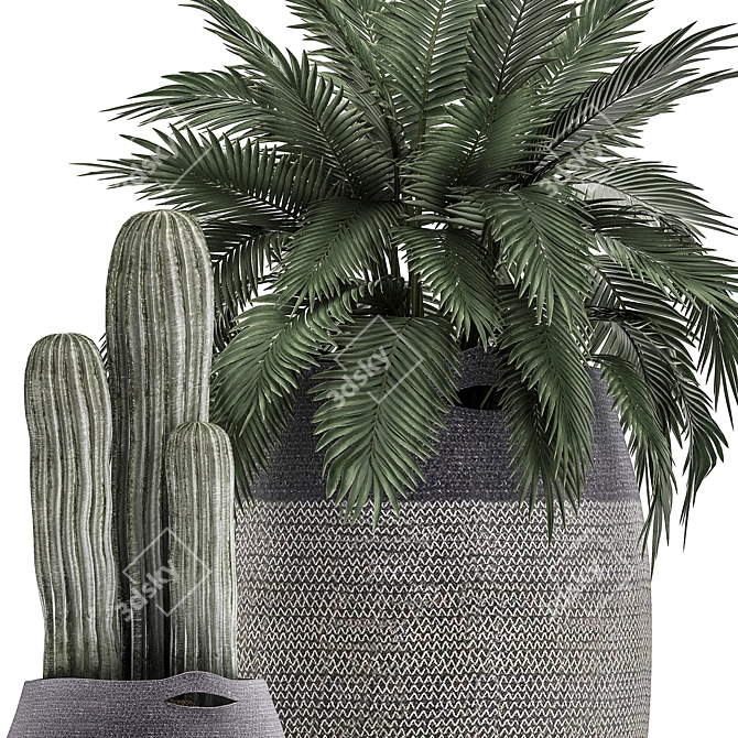 Tropical Plant Collection in Fabric Baskets 3D model image 4