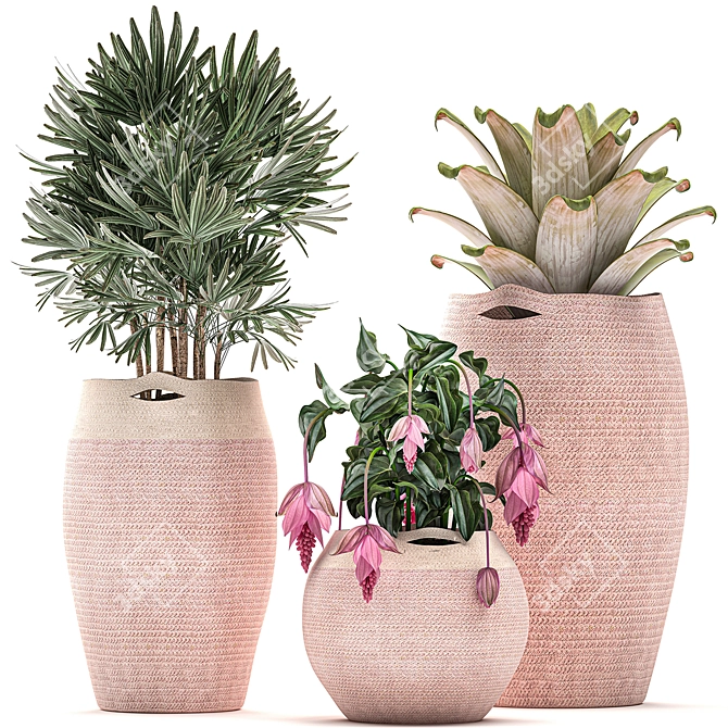 Exotic Plant Collection in Pink Baskets 3D model image 1