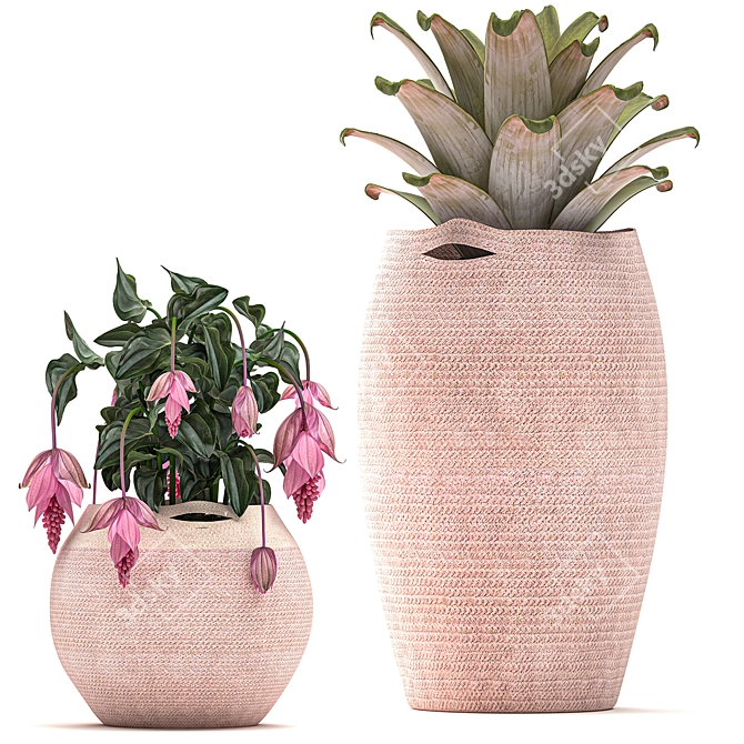 Exotic Plant Collection in Pink Baskets 3D model image 4