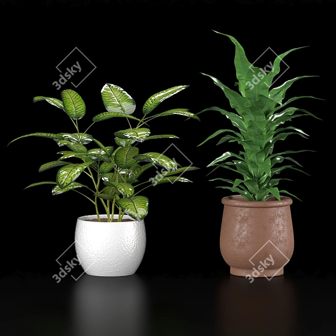 Indoor Plant Collection Set 3D model image 1