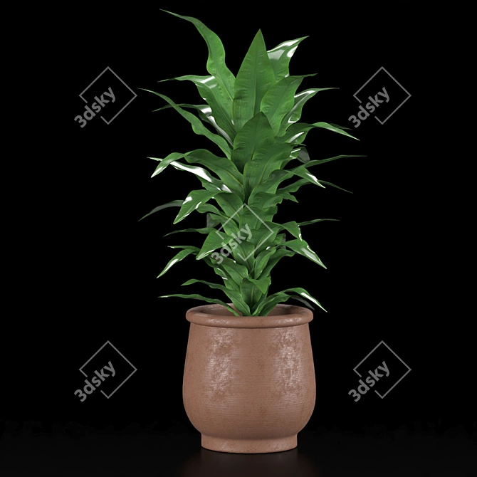 Indoor Plant Collection Set 3D model image 3