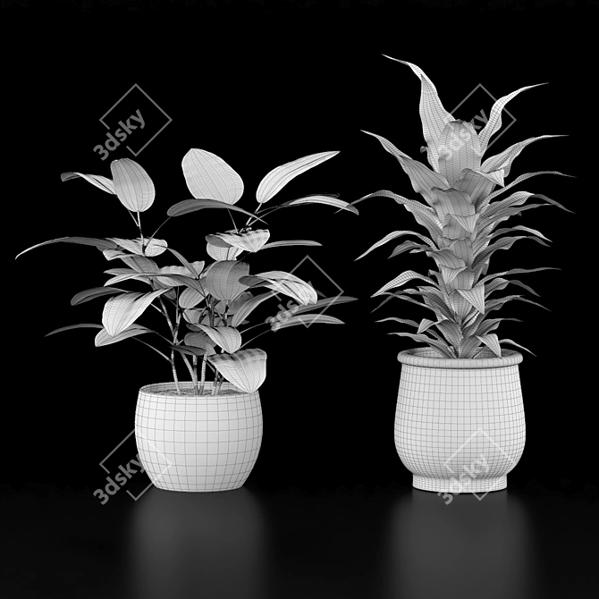 Indoor Plant Collection Set 3D model image 4