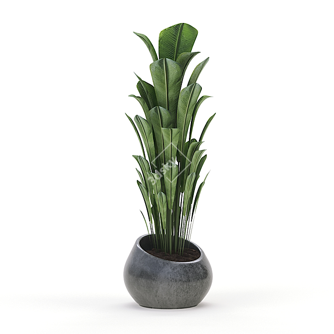 Green Oasis: Indoor Plant Collection 3D model image 1