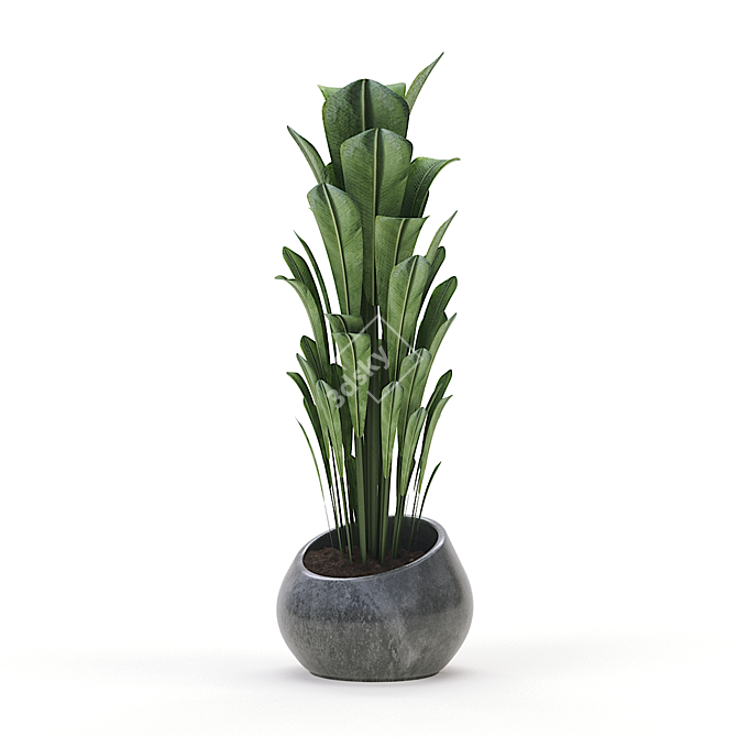 Green Oasis: Indoor Plant Collection 3D model image 2