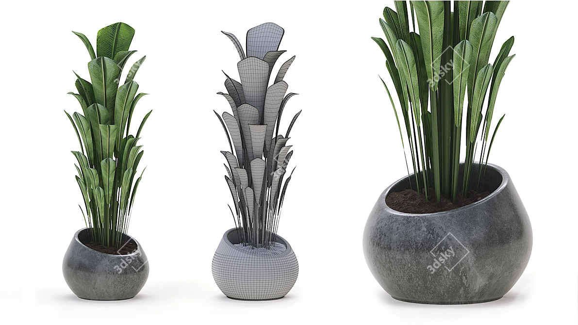 Green Oasis: Indoor Plant Collection 3D model image 6