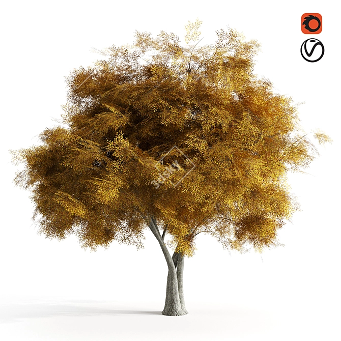 Autumn Bliss Elm Tree 3D model image 1
