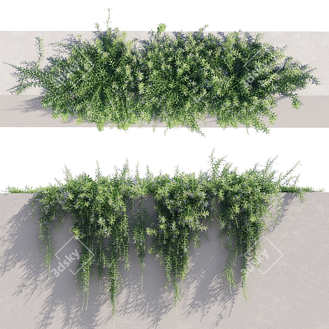 Rosemary 2 - Versatile, High-Quality Object 3D model image 1