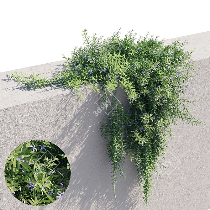 Rosemary 2 - Versatile, High-Quality Object 3D model image 3