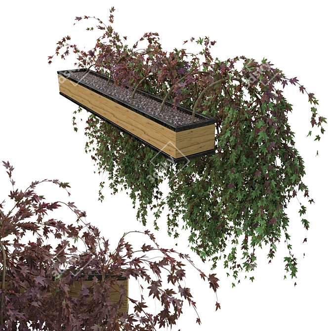 2-Sided Hanging Plant with Dual-Color Leaves 3D model image 1
