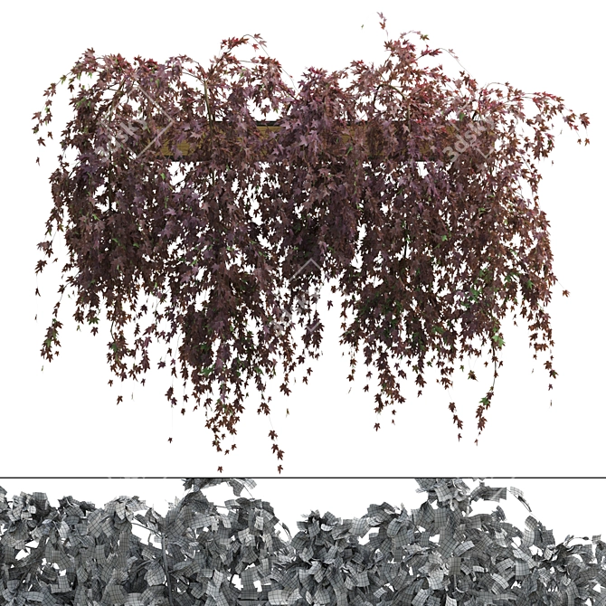 2-Sided Hanging Plant with Dual-Color Leaves 3D model image 2