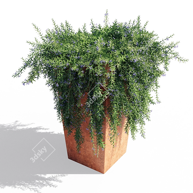 1.1m Rosemary Pot 3D model image 2