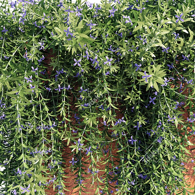 1.1m Rosemary Pot 3D model image 4