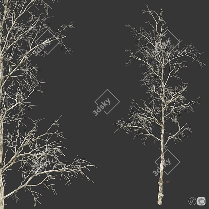 Versatile Four Seasons Trees 3D model image 5