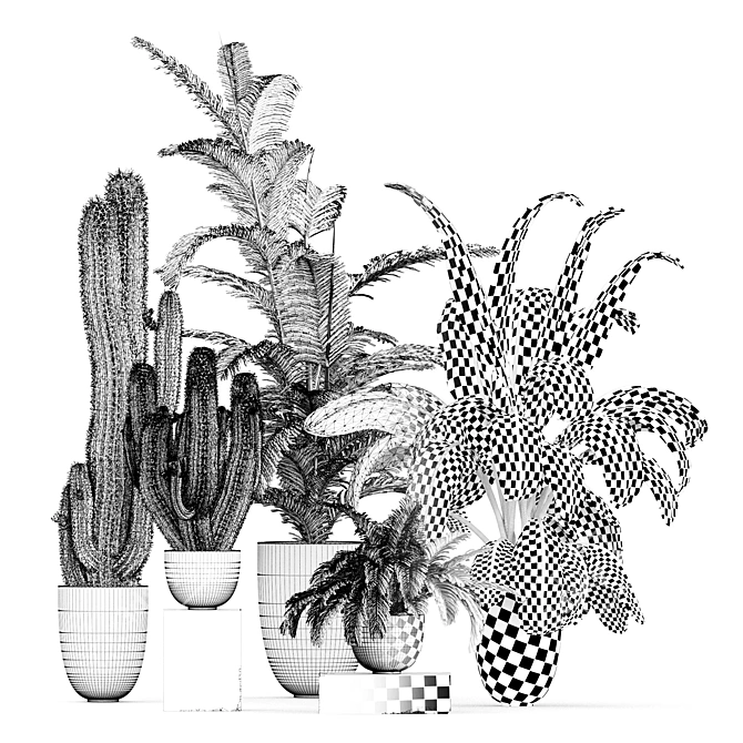 Tropical Houseplant Collection 3D model image 4