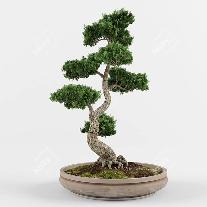 Artistic Bonsai: Exquisite Decorative Tree 3D model image 2