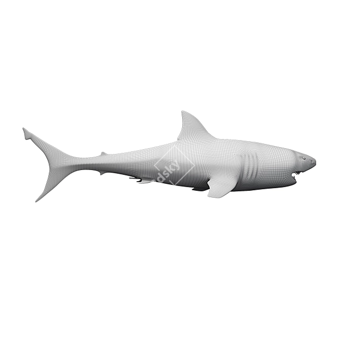 Savage Shark - Rigged & Animated 3D model image 3