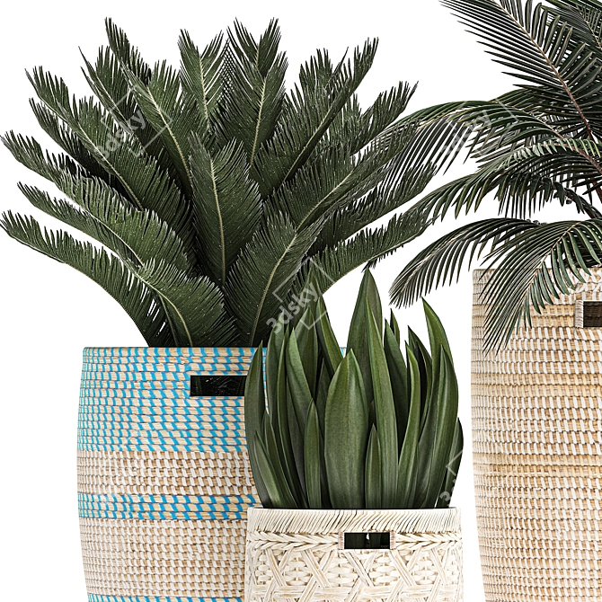 Tropical Plant Collection: Exotic & Decorative in Baskets 3D model image 2