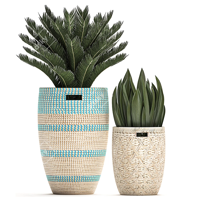 Tropical Plant Collection: Exotic & Decorative in Baskets 3D model image 4