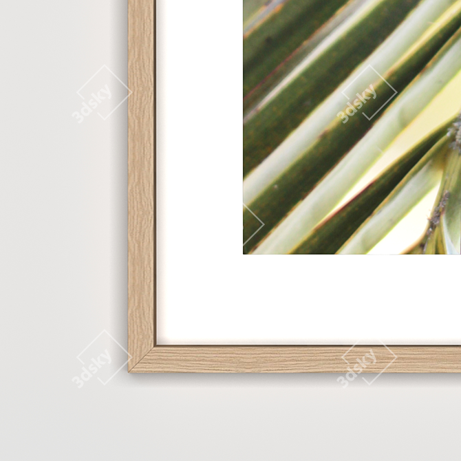 Versatile Black, Gold, and Wooden Frames 3D model image 2