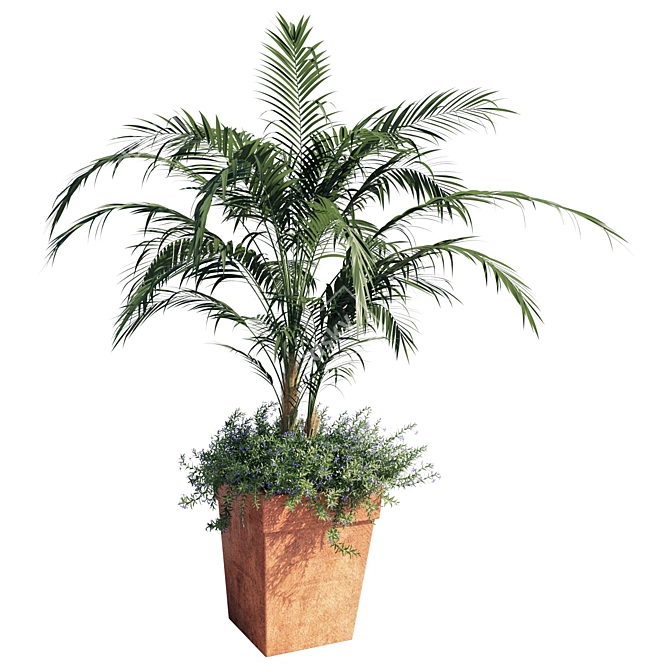 Tropical Elegance: Kentia Palm 3D model image 1