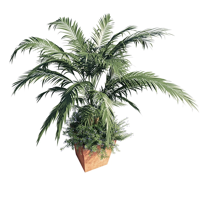 Tropical Elegance: Kentia Palm 3D model image 2